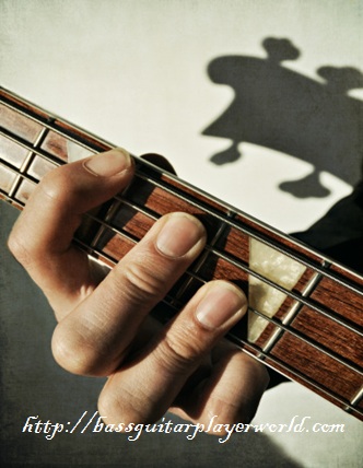 Bass Guitar Chords Lessons