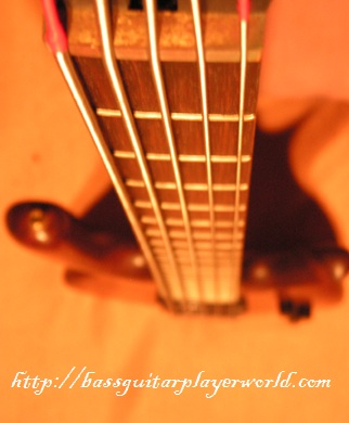 fretboard of the bass
